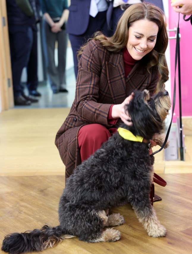 LONDON, ENGLAND - JANUARY 14: Catherine, Princess of Wales meets Scout the therapy dog during a visit to The Royal Marsden Hospital on January 14, 2025 in London, England. The Prince and Princess of Wales have today become Joint Patrons of The Royal Marsden NHS Foundation Trust following a visit by Her Royal Highness to the hospital???s Chelsea site. The Princess??? own personal cancer journey saw her receive treatment from The Royal Marsden. The Royal Marsden opened its doors in 1851 as the world???s first hospital dedicated to cancer diagnosis, treatment, research and education. (Photo by Chris Jackson/Getty Images)