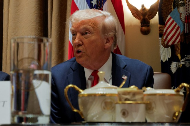 U.S. President Donald Trump hosts his first cabinet meeting with Elon Musk in attendance, Washington, D.C., U.S., February 26, 2025. REUTERS/Brian Snyder