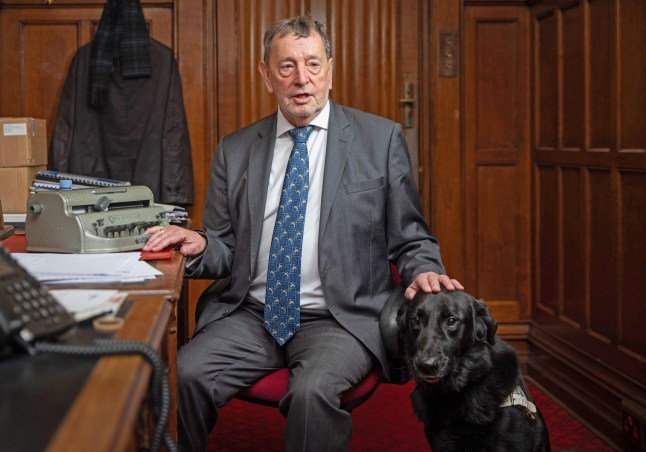 Lord Blunkett, a Labour peer, with his guide dog.