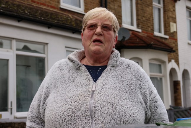 Dave Courtney???s neighbour, Sheila Wellcome, speaks about the side of the infamous gangster-turned-author that the public never saw. Pictured: Camelot Castle in Plumstead, including its exterior and rooftop featuring a controversial message. The property, purchased for ??500,000 in 2024 by its new owner, has undergone extensive renovations after being reportedly stripped bare before his move-in. He claims significant work was required to restore it to a livable condition.