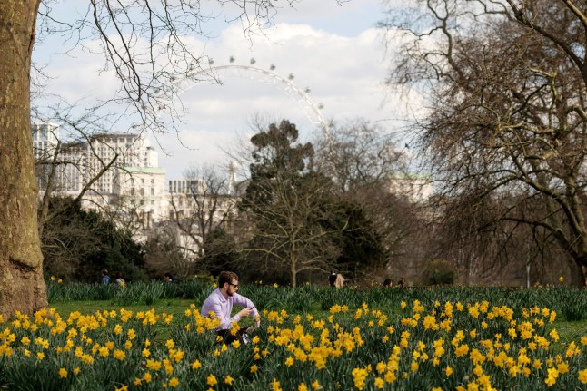 LONDON, ENGLAND - MARCH 20: People enjoy the sunshine in St James's Park on March 20, 2025 in London, England. The astronomical spring season begins on the date of the spring equinox. This falls on 20 March in 2025, and will last until what's known as the summer solstice on 21 June. (Photo by Dan Kitwood/Getty Images)