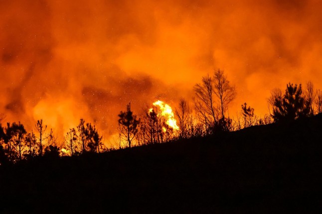 Huge wildfire near Poole, Dorset, overnight as it burns through nature reserve in orange flames.