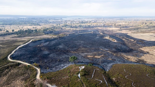 An aerial image showing scorched ground at Upton Heath, Poole, Dorset, after a wildfire.