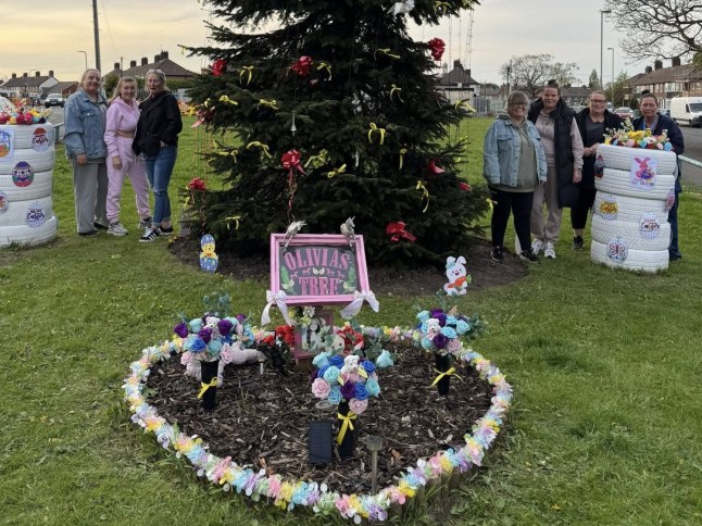 Olivia's Tree memorial garden for Olivia Pratt-Korbel. Taken from Olivia's Butterfly Foundation Facebook Page