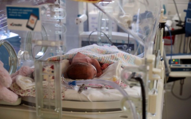 A newborn baby in an incubator for infants in a maternity hospital ward.