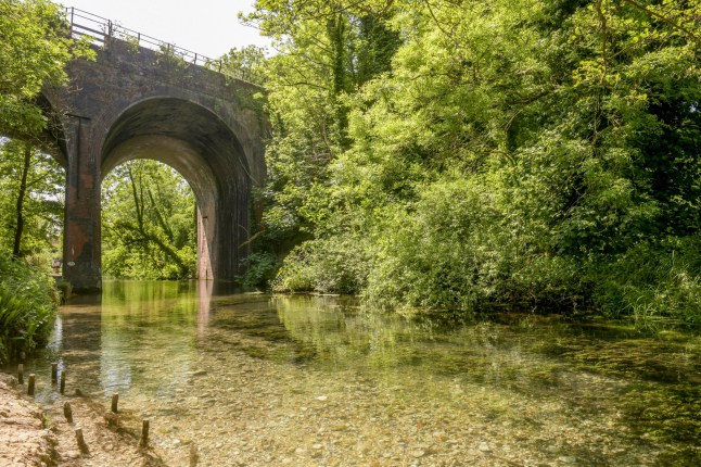 Pictured: River Loddon in Old Basing, near Basingstoke, Hampshire. A historic chalk stream immortalised in poetry but under threat from pollution is set to be granted 'personhood' - giving it the right to sue if it is neglected. The River Loddon will be recognised as a legal entity in its own right by a council in Hampshire in a move hailed as a 'landmark' by wildlife campaigners. The waterway - about which 18th century Poet Laureate Thomas Wharton wrote a sonnet in which he praised the 'sweet native stream' - has been dubbed 'The Cinderella River' as it is 'hard working but overlooked'. Now in a 'major victory for nature' a local authority has voted for it to acquire a legal status that environmentalists say will help restore it to its former glory. SEE OUR COPY FOR DETAILS. Please byline: Simon Czapp/Solent News ?? Simon Czapp/Solent News & Photo Agency UK +44 (0) 2380 458800