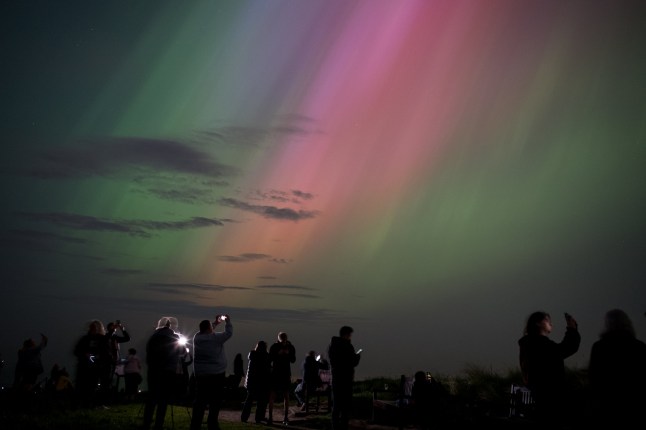People watching the Northern Lights on the ground.