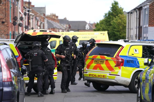 Armed officers in Hartlepool after reports of a dog attacks.