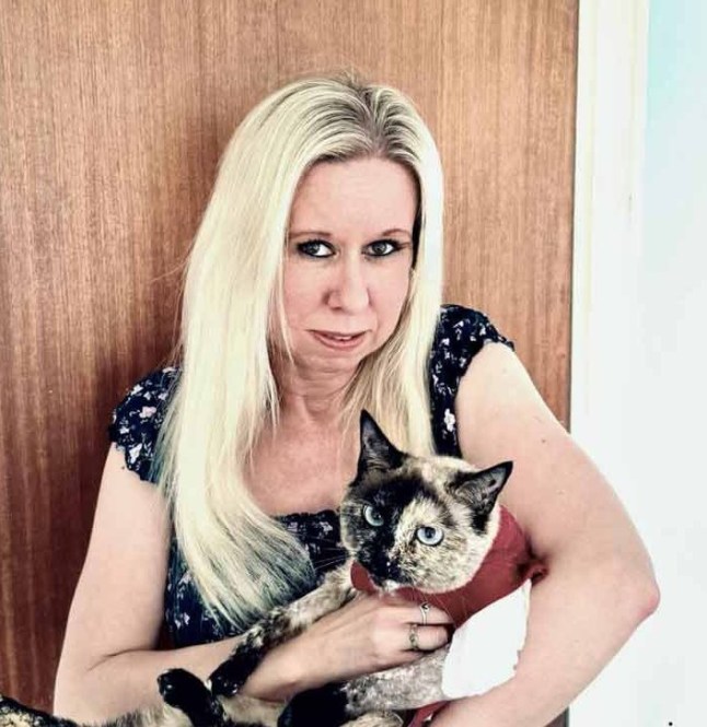 Adored pet cat was shot by an air rifle