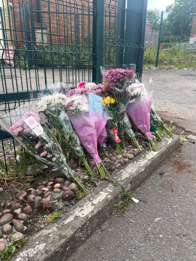Flowers left at the scene in the Darnall area of Sheffield after a teenage pedestrian died in a collision involving an electric bike and a grey Audi. South Yorkshire Police said officers were called to reports of a road traffic collision on Staniforth Road shortly after 4.50pm on Wednesday. A 16-year-old male pedestrian was taken to hospital but died of his injuries, while an 18-year-old man, who was the rider of the electric bike, remains in hospital with serious injuries. It was reported that the grey Audi failed to stop at the scene. Picture date: Thursday June 5, 2025. PA Photo. See PA story POLICE Sheffield. Photo credit should read: Dave Higgens/PA Wire