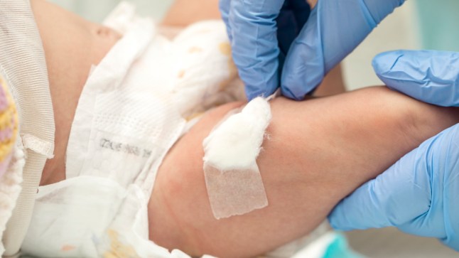 vaccination of six month old baby