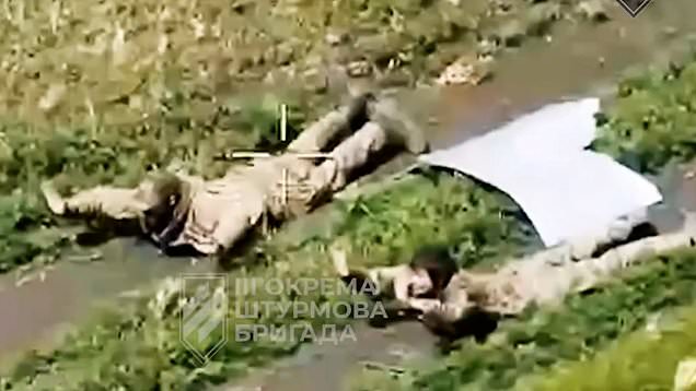 Ukrainian forces used ground robots to seize enemy position and capture Russian soldiers in the Kharkiv region (Picture: Ukrinform)