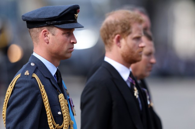 LONDON, ENGLAND - SEPTEMBER 14: Prince William, Prince of Wales and Prince Harry, Duke of Sussex walk behind the coffin during the procession for the Lying-in State of Queen Elizabeth II on September 14, 2022 in London, England. Queen Elizabeth II's coffin is taken in procession on a Gun Carriage of The King's Troop Royal Horse Artillery from Buckingham Palace to Westminster Hall where she will lay in state until the early morning of her funeral. Queen Elizabeth II died at Balmoral Castle in Scotland on September 8, 2022, and is succeeded by her eldest son, King Charles III. (Photo by Richard Heathcote/Getty Images)
