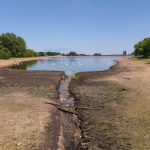 Here’s why a drought is so bad for you