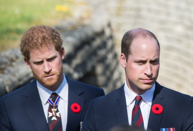 LILLE, FRANCE - APRIL 09: Prince William, Duke of Cambridge and Prince Harry walk through a trench during the commemorations for the 100th anniversary of the battle of Vimy Ridge on April 9, 2017 in Lille, France. (Photo by Samir Hussein/WireImage)