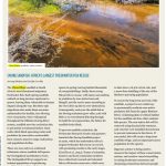 Africa’s freshwater fish crisis: 26% of species threatened with extinction