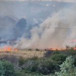 Huge plumes of smoke as three seperate wildfires rage in east London
