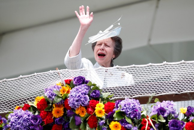 Horse Racing - Derby Festival - Epsom Downs Racecourse, Epsom, Britain - June 4, 2022 Britain's Princess Anne is seen ahead of the races REUTERS/Peter Cziborra