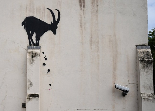 Banksy has unveiled a new piece of art work near Kew Bridge in west London, of a goat on a wall. Picture date: Monday August 5, 2024. PA Photo. See PA story ARTS Banksy. Photo credit should read: Aaron Chown/PA Wire