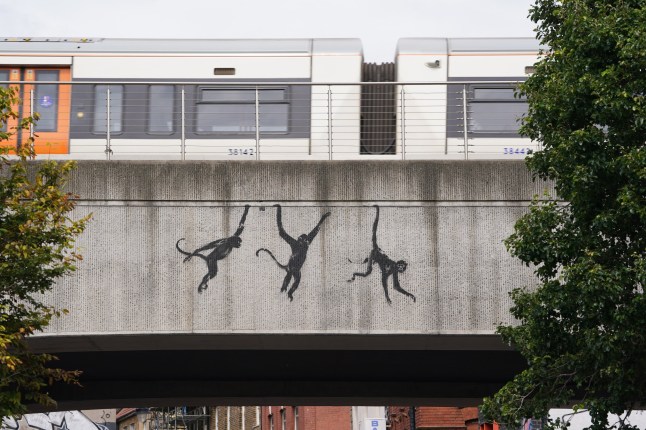A new artwork depicting three monkeys unveiled by Banksy, painted on a bridge in Brick Lane, east London. The artist's latest artwork comes a day after he unveiled two elephants poking their heads out of blocked out windows painted on the side of a building in Chelsea, south west London. Picture date: Wednesday August 7, 2024. PA Photo. See PA story ARTS Banksy. Photo credit should read: Lucy North/PA Wire