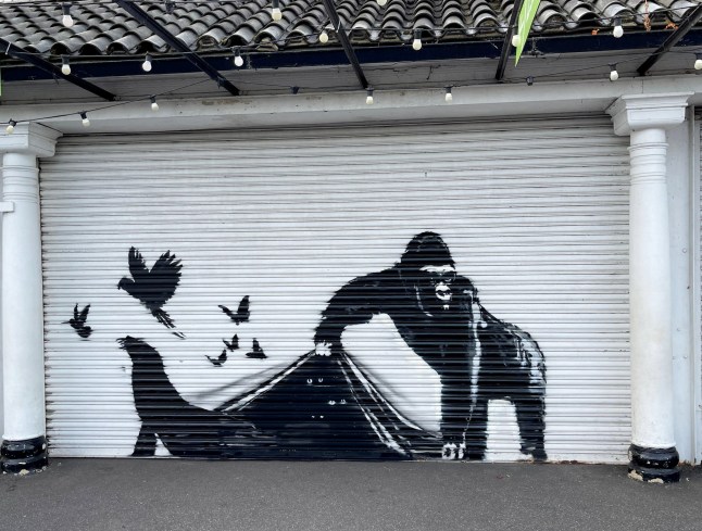 A Banksy enthusiast believes he?s found the ?final? mural in his animal series - at London Zoo. Release date ? August 13, 2024. Simon Stephenson, 53, had a hunch he?d find the painting there - after spotting a number of clues around the other pieces. He was the first person to spot the guerilla tagger?s ?tiger? mural on Edgeware Road, Cricklewood - which had a zoo poster ?right by it.? This potential latest installment shows a gorilla, uncovering a blanket filled with animals, like birds and a seal. Banksy has been unveiling animal-style pieces all over London, over the last eight days.