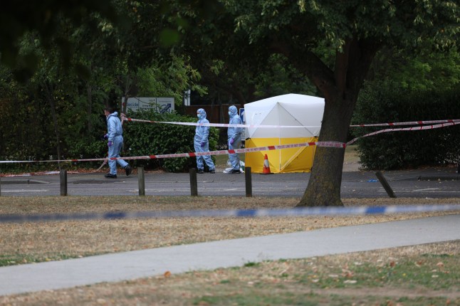 Chadwell Heath Lane, Romford East London, remains closed this morning after a woman died following an attack in the early hours of Saturday. Murder investigation launched after Woman killed outside a care home in Romford The Metropolitan Police has confirmed that detectives from its Specialist Crime Command (Homicide) are leading the investigation. Murder investigation launched after fatal street brawl in Chadwell Heath Care Home Emergency services were called to the scene in Chadwell Heath Lane after reports of the attack Despite the efforts of paramedics and police officers, a woman was pronounced dead as a result of her injuries. A murder investigation has now been launched, and a police cordon remains in place while forensic teams carry out detailed enquiries. Murder investigation launched after Woman killed outside a care home in Romford Residents reported significant disruption in the area overnight, with the road sealed off and officers standing guard at the scene. The Met Police and London Ambulance Service have been contacted for further details, including the victim???s age, whether any arrests have been made, and the circumstances leading up to the incident. Anyone with information is urged to call the police on 101, quoting the relevant reference number, or contact Crimestoppers anonymously on 0800 555 111.