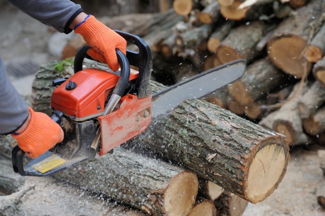Close-up professional chainsaw blade cutting log of wood; Shutterstock ID 355871786; purchase_order: -; job: -; client: -; other: -