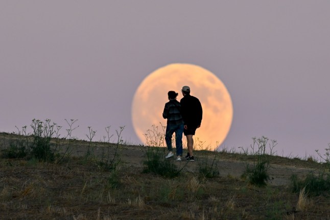 Full 'Corn' Moon known as 'Harvest Moon' rises as a couple walk on a trail hill at the Seal Point Park in San Mateo, California, United States