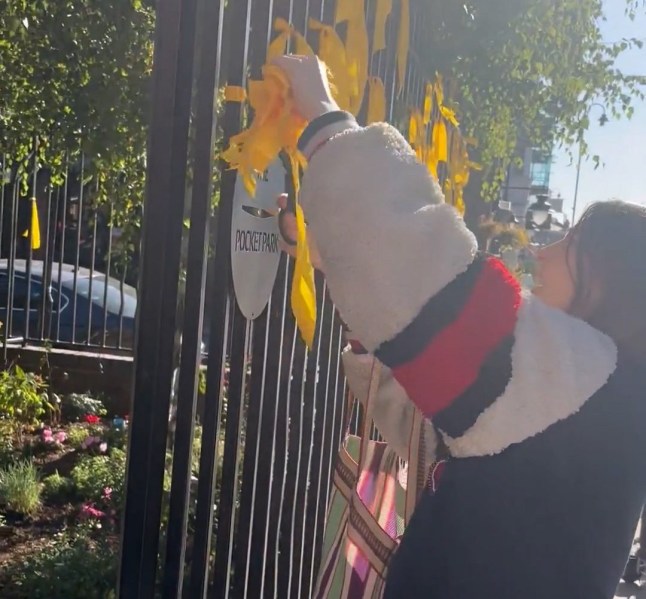 UNCL GRABS: Moment furious bystanders confront young woman as she cuts down yellow ribbons for Israeli hostages from a fence in North London