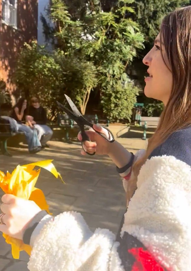 UNCL GRABS: Moment furious bystanders confront young woman as she cuts down yellow ribbons for Israeli hostages from a fence in North London