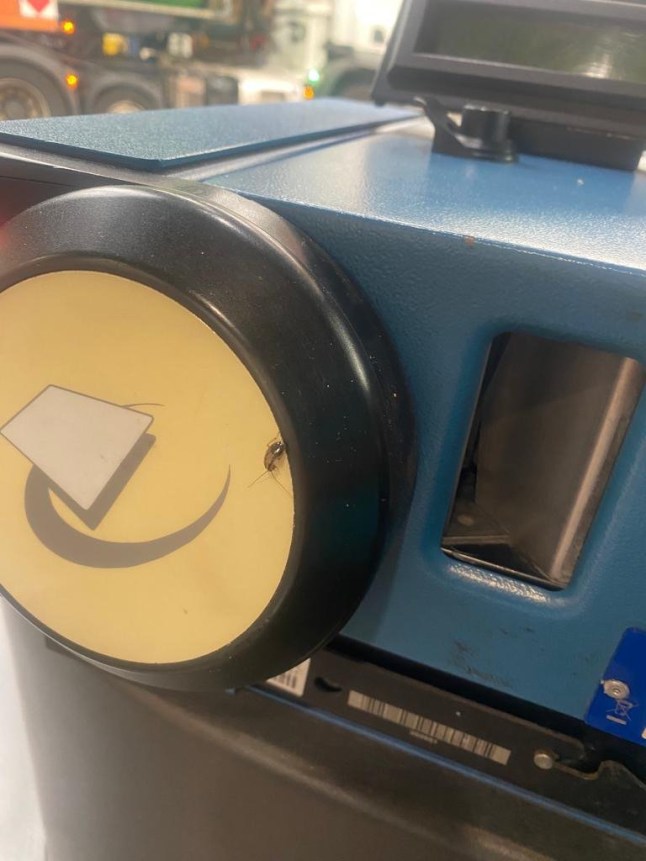 London buses infested with cockroaches Taken wihout permisison https://www.londonbusforums.co.uk/news/london-bus-cockroach-infestation/