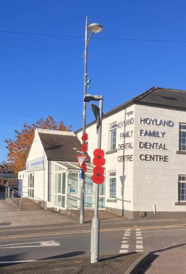 Poppies up around the town of Hoyland, Barnsley, Yorkshire. A heartbroken community group have axed their remembrance day poppy displays after the council tightened their rules due to flags.The Hoyland Remembrance and Parade Group (HRPG) in Barnsley, South Yorks., have said new requirements issued by the Barnsley council mean they can no longer hang poppies on landposts.For the past three years the group have placed 350 wooden poppies - each bearing a fallen soldier's name - along the town?s remembrance parade route in preparation for Armistice Day.But under the Highways Act updated safety rules for lamppost decorations mean they can no longer install the the red remembrance flowers. Photo released 19/10/2025