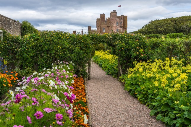 Beautiful garden of Castle of Mey, the favorite residence and holiday home of the Queen Mother. Castle of Mey, Caithness, Scotland, Britain, August 2017; Shutterstock ID 1055755334; purchase_order: -; job: -; client: -; other: