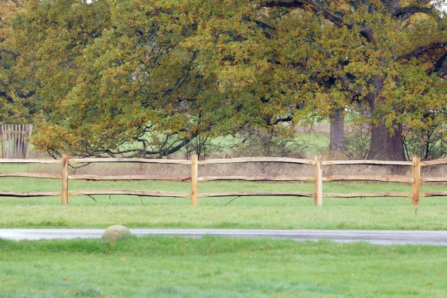 W8media. NO CREDIT W8media Windsor great park. A large section of Windsor greta park has now been fenced off due to Prince William moving into his new home. The Eco friendly Prince has opted for an attractive natural wooden fence to go round the perimeter of the new home. Please see story for more info. 03/11/2025.