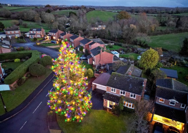 Avril Rowlands is paying tribute to her late husband Chris when lighting up a tree that they planted in their garden at home in Inkberrow, Worcestershire, in 1979. December 2, 2025. // A grieving widow has paid a glowing tribute to her late husband by decorating a Christmas tree they planted in their garden in 1979 ??? which now stands over 50ft tall. Avril and Christopher Rowlands dug a hole for their ??6 fir to mark their first Christmas together in their new home. More than four decades later, the whopping tree now towers over their four-bedroom detached house. Since 2004 the couple used a cherry picker to decorate the tree with thousands of festive lights and switch them on every December. Sadly, Christopher died from lung disease emphysema in March but Avril has vowed to continue the traditional festive switch on. Avril, 80, said: ???I???m decorating the tree in honour of Chris this year because he loved the spectacle. ???This year is going to be slightly different because we are using thousands of LED lights.??? Photo released 08/12/2025