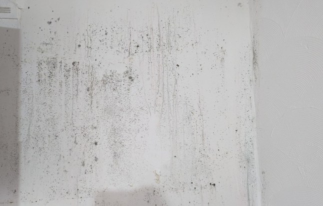 MORE THAN 1 IN 4 BRITS LIVE IN HOMES THAT COULD MAKE THEM ILL Picture: Health Equals