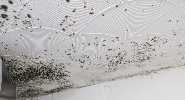 MORE THAN 1 IN 4 BRITS LIVE IN HOMES THAT COULD MAKE THEM ILL Picture: Health Equals