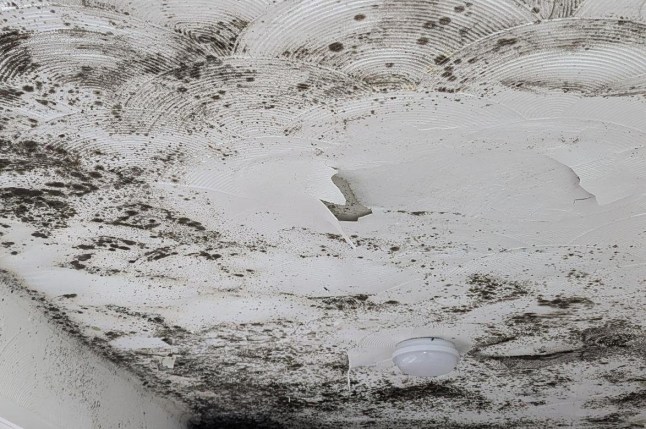 MORE THAN 1 IN 4 BRITS LIVE IN HOMES THAT COULD MAKE THEM ILL Picture: Health Equals