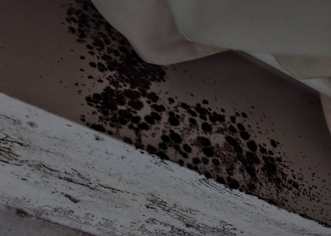 MORE THAN 1 IN 4 BRITS LIVE IN HOMES THAT COULD MAKE THEM ILL Picture: Health Equals