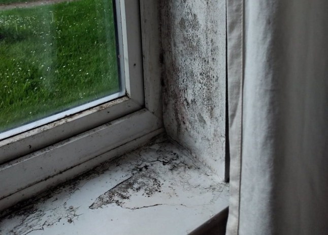 MORE THAN 1 IN 4 BRITS LIVE IN HOMES THAT COULD MAKE THEM ILL Picture: Health Equals