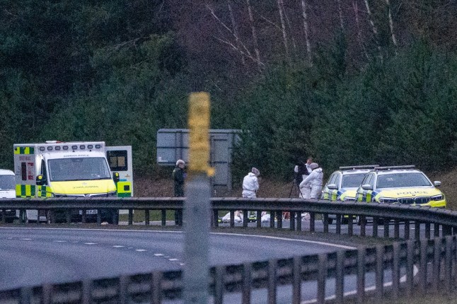 EAST ANGLIA NEWS SERVICE, tel. 07767 413379 A view of the scene on the A11 road dual carriageway near Thetford, Norfolk, after a man reportedly holding a handgun was shot dead by armed police