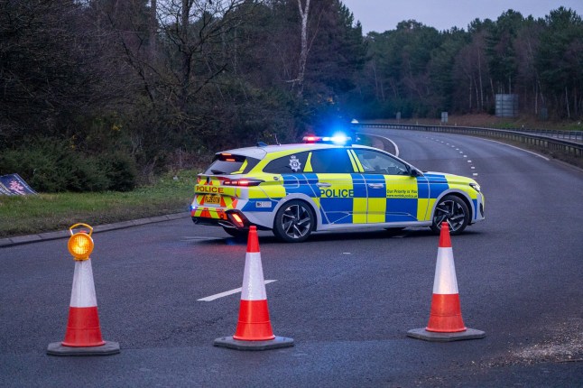 EAST ANGLIA NEWS SERVICE, tel. 07767 413379 A view of the scene on the A11 road dual carriageway near Thetford, Norfolk, after a man reportedly holding a handgun was shot dead by armed police