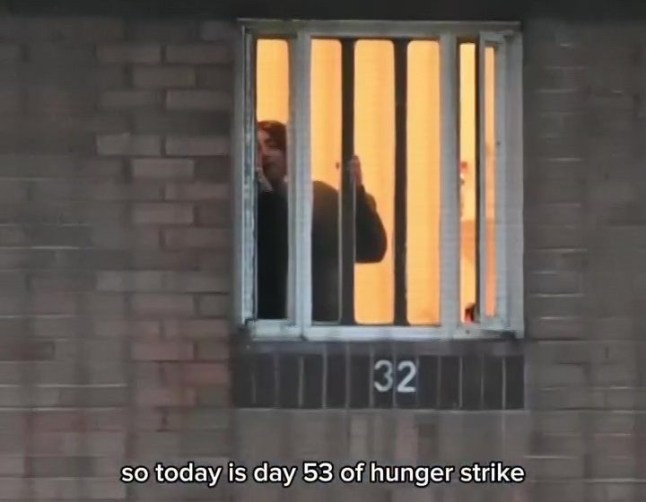 Palestine hunger striker 'losing ability to speak' after 56 days without food Heba Muraisi