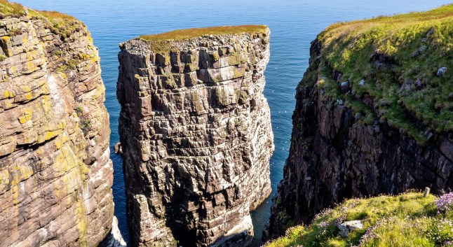 Limestone cliffs in Handa island in northern Scotland, United Kingdom