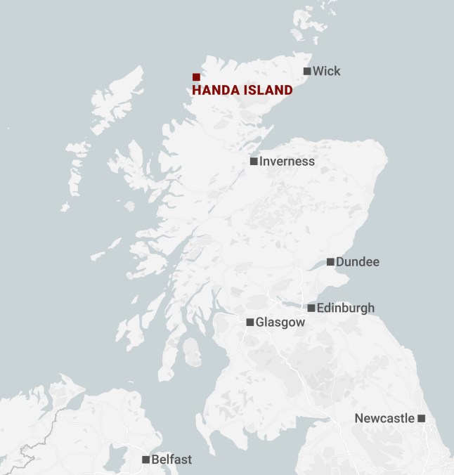 Handa Island, Scotland