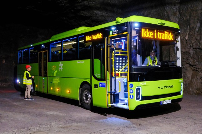 A green, electric, single-decker bus captured in a photo taken at night