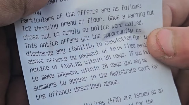 A close-up screenshot of a local council enforcement note outlining a £100 for 'throwing bread on the floot' after a woman was arrested for feeding pigeons in Harrow, London