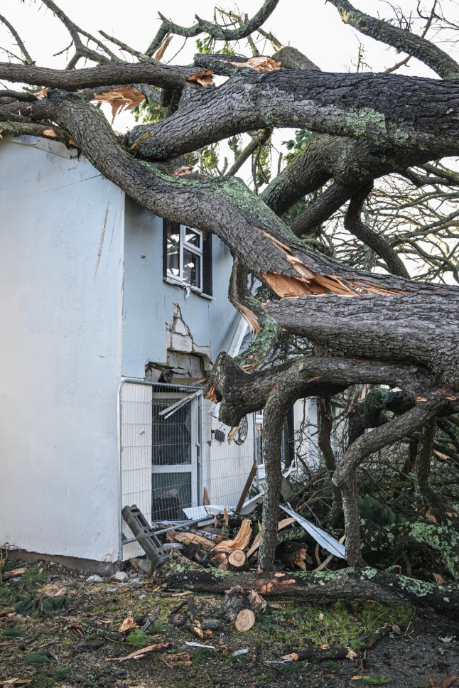 FALMOUTH, ENGLAND - JANUARY 10: A property extensively damaged by fallen trees caused by Storm Goretti on January 10, 2026 in Falmouth, United Kingdom. Residents are conducting a massive clean-up operation across Cornwall following Storm Goretti, which brought winds of up to 100 mph and left 46,000 houses without power. Cornwall Council has described the storm as one of the most severe in living memory.?? (Photo by Hugh Hastings/Getty Images)