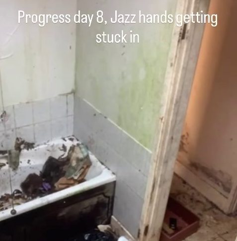 (Picture: @thepinkhousediaries2026)